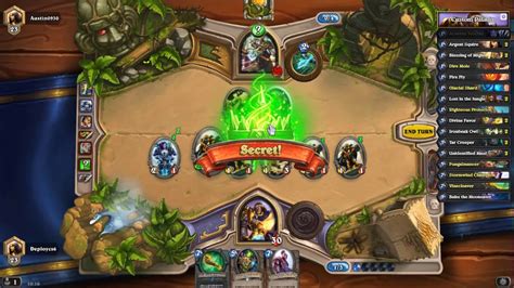 Budget Odd Paladin .